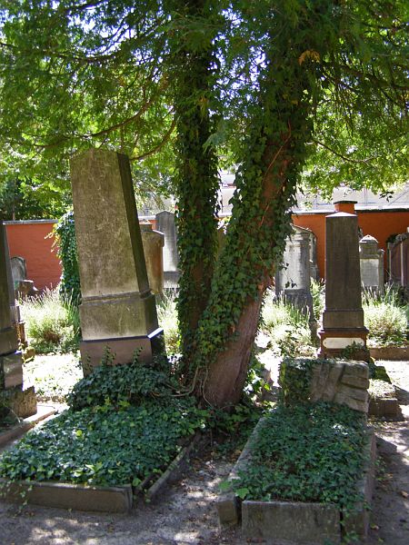 Der jüdische Friedhof in Memmingen (Kreisstadt, Bayern)